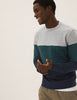 Pure Cotton Colour Sweatshirt