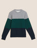 Pure Cotton Colour Sweatshirt